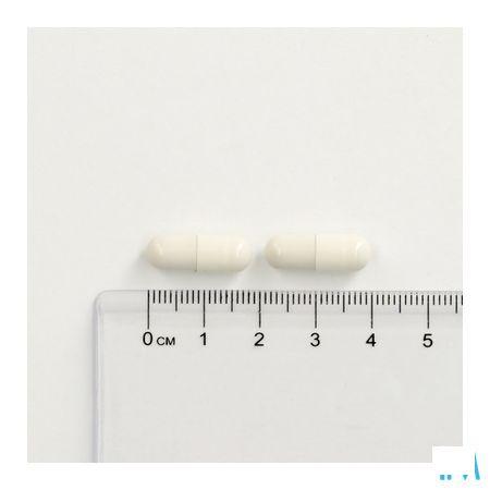Cogniton Focus Capsule 60  -  Depharm