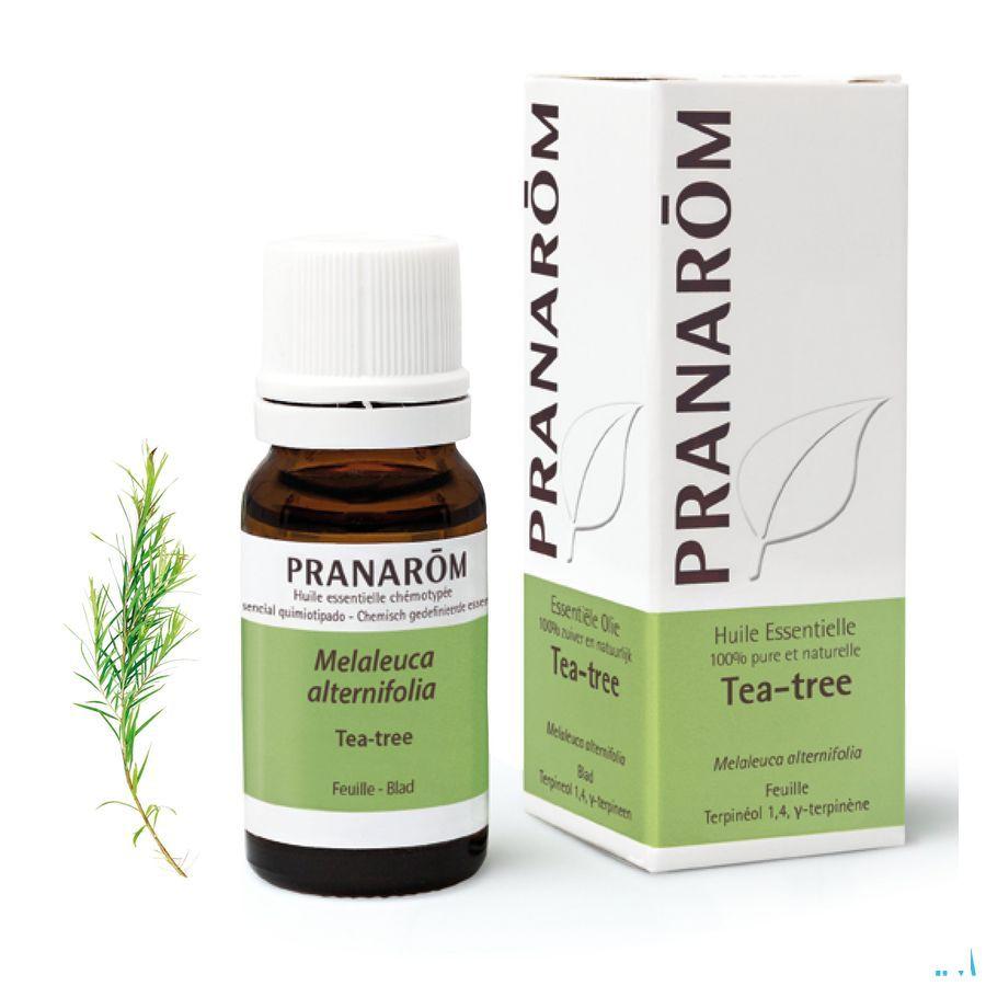Tea Tree Essentiele Olie 10 ml  -  Pranarom