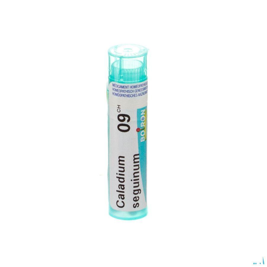 Caladium Seguinum 9CH Gr 4g  -  Boiron