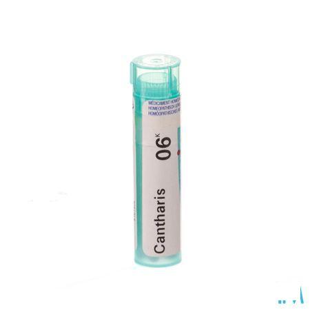 Cantharis 6k Gr 4g  -  Boiron