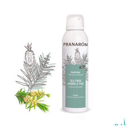 Hydrolat Tea Tree Bio 150  ml Pranarom  -  Pranarom