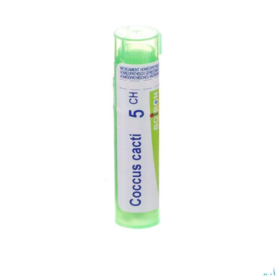 Coccus Cacti 5CH Gr 4g  -  Boiron