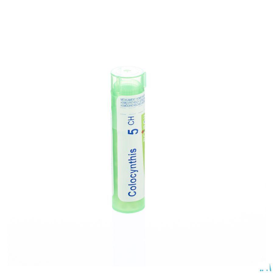 Colocynthis 5CH Gr 4g  -  Boiron