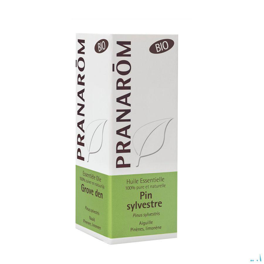 Pin Sylvestre Bio Huile Essentielle 10 ml  -  Pranarom