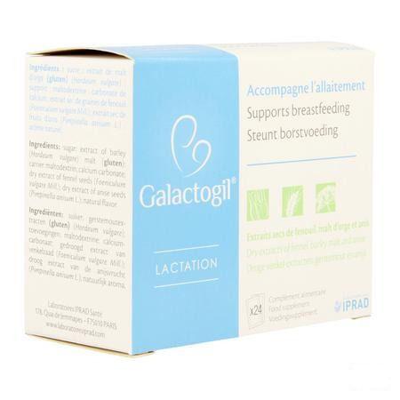 Galactogil Lactation Poudre Sachets 24