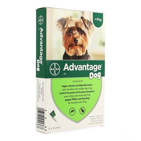 Advantage 40 Chiens 