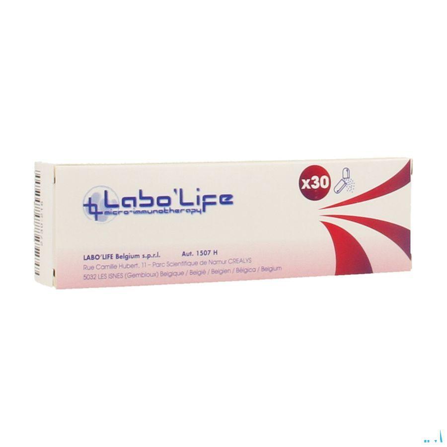 Bmp4 5CH Capsule 30  -  Labo Life