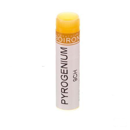 Pyrogenium 9CH Gl  -  Boiron