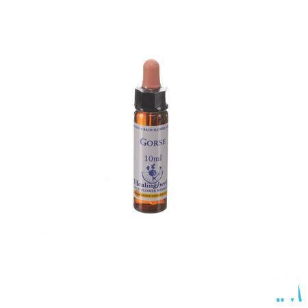 Healing Herbs Gorse 10 ml