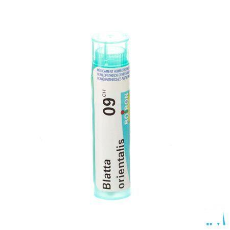 Blatta Orientalis 9CH Gr 4g  -  Boiron