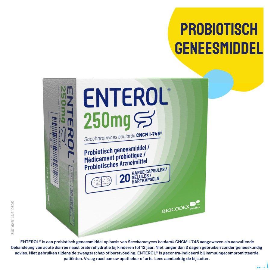 Enterol 250 mg Capsule Harde Dur 50 X 250 mg