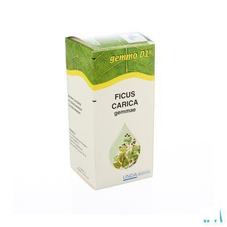 Ficus Carica Gemmo D1 125 ml  -  Boiron