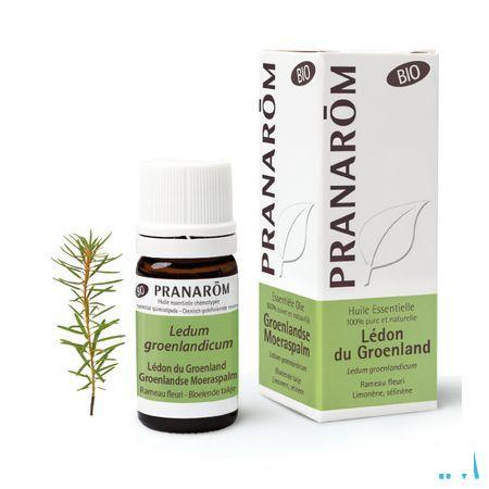 Ledon Groenland Bio Huile Essentielle 5 ml  -  Pranarom