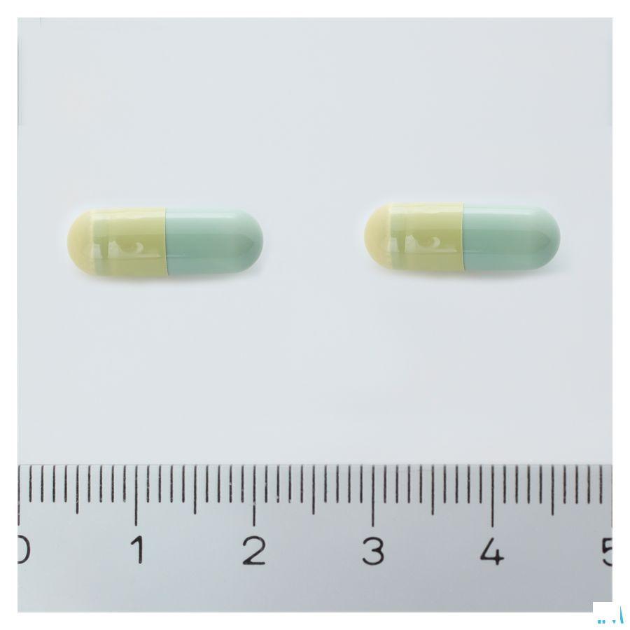 Sacchiflora 250 mg Capsule Dur 10 Blister