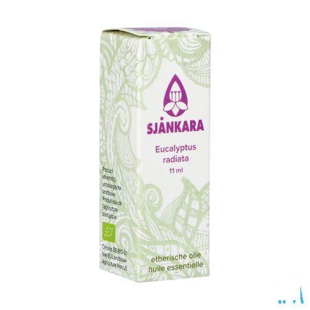 Sjankara Eucalyptus Radiata Ess. Olie Bio 11 ml