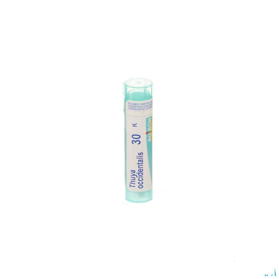 Thuya Occidentalis 30K Gr 4g  -  Boiron