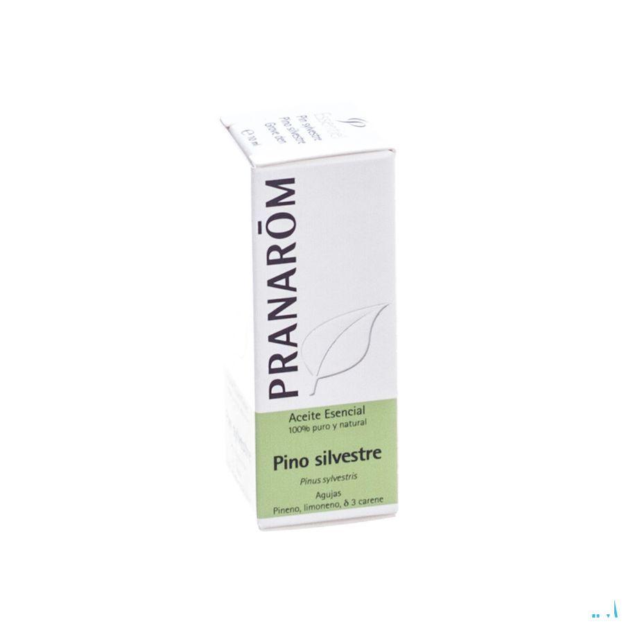 Pin Sylvestre Huile Essentielle 10 ml  -  Pranarom