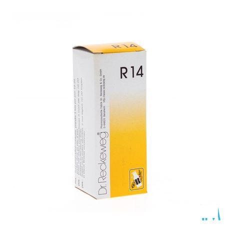 Reckeweg Dr. R14 Druppels 50 ml  -  Nut-Hom-Phyt