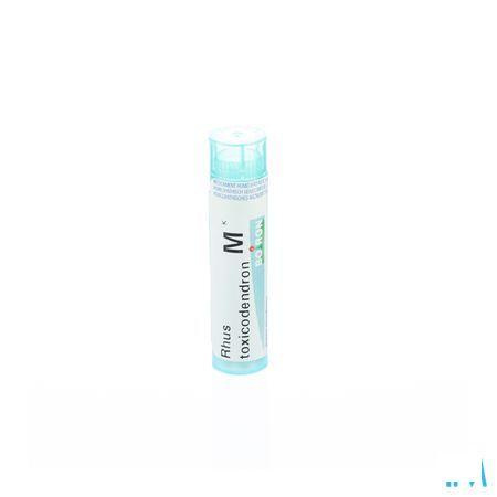 Rhus Toxicodendron MK Gr 4g  -  Boiron