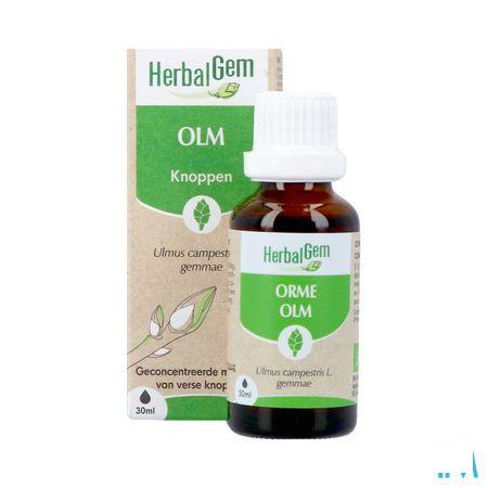 Herbalgem Orme Bio 30 ml