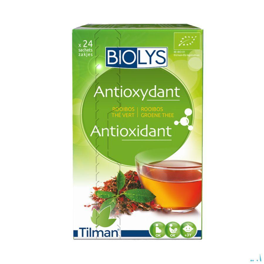 Biolys Rooibos The Vert Sachets 24  -  Tilman