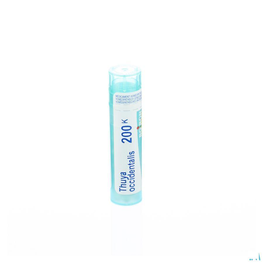 Thuya Occidentalis 200K Gr 4g  -  Boiron