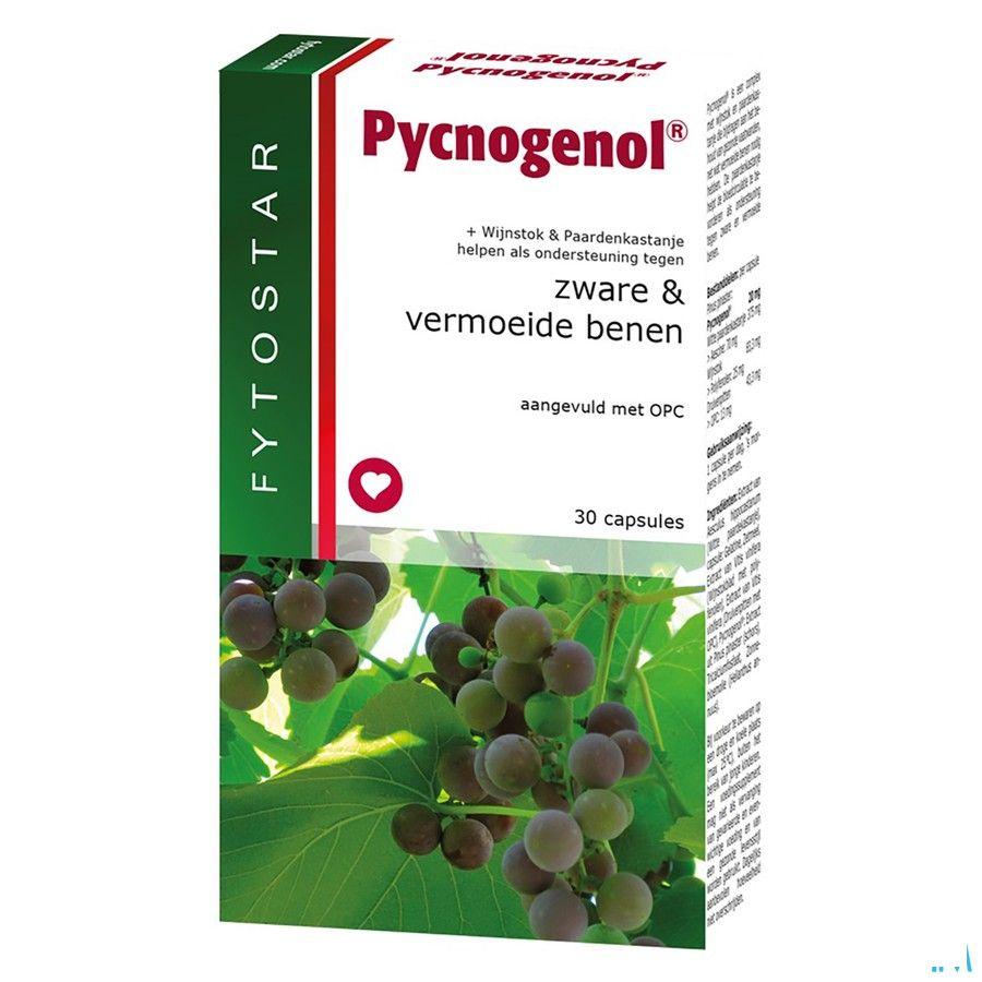 Fytostar Pycnogenol Capsule 30 7587  -  Ocebio