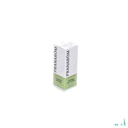 Solidage Du Canada Huile Essentielle 5 ml  -  Pranarom