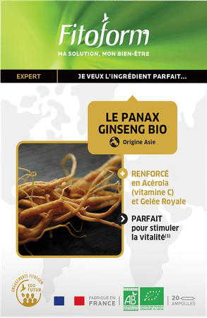 Pana x Ginseng Bio Amp 20 Fitoform
