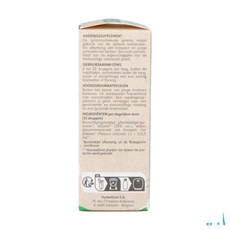 Herbalgem Platane Bio 30 ml