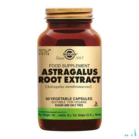 Solgar Astragalus Root Extract V-Capsule 60  -  Solgar Vitamins