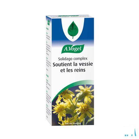 Vogel Solidago Complex Druppels 100 ml  -  A.vogel