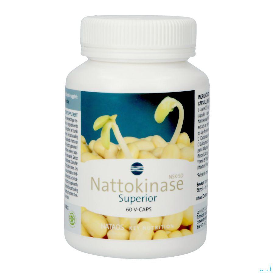 Nattokinase Nsk-Sd Caps 60X100 mg