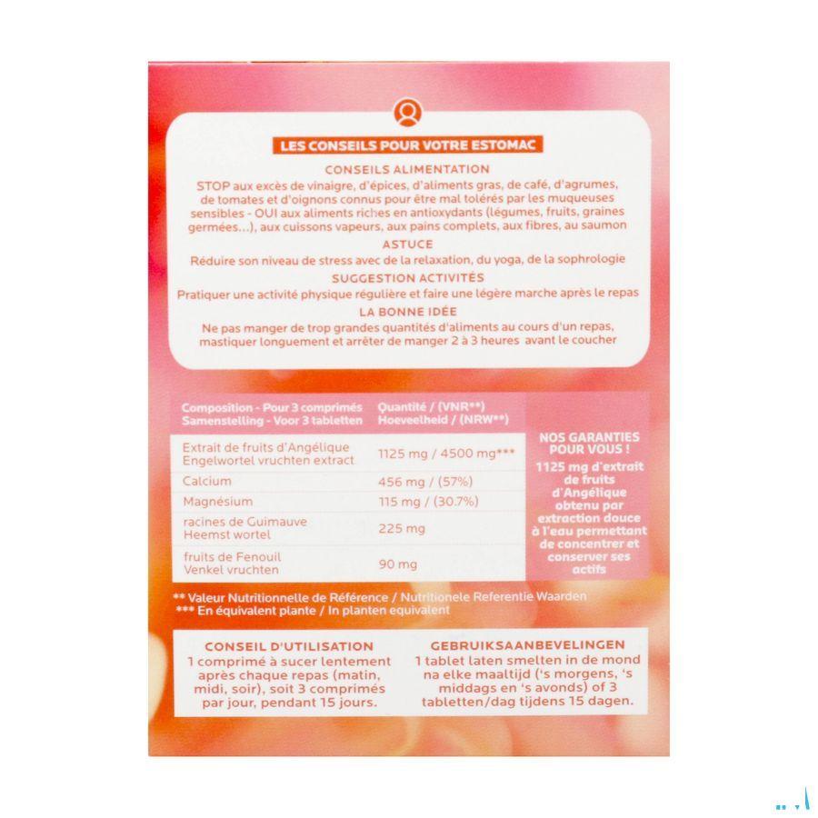 Stoma Blister Tabletten 45 Fitoform  -  Bioholistic Diffusion