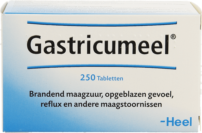Gastricumeel Comprimes 250  -  Heel