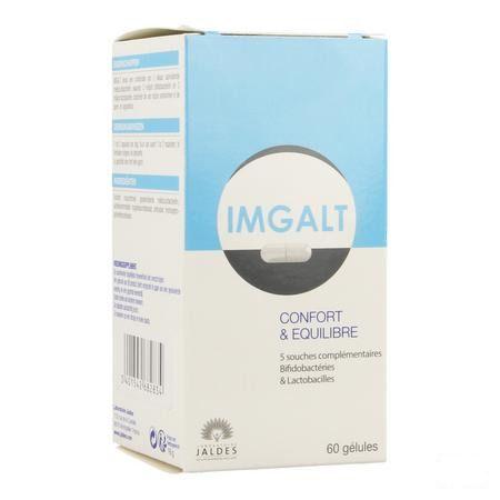 Imgalt Gel 60