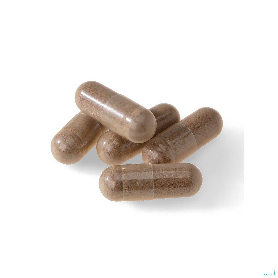 Biotics VHP 90 capsules  -  Energetica Natura