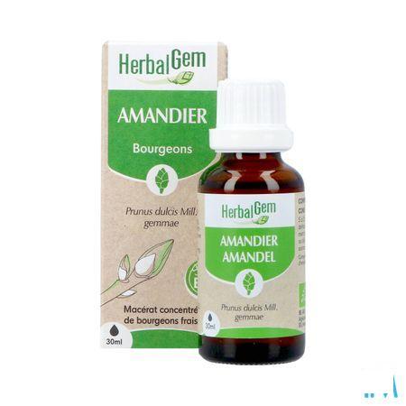 Herbalgem Amande Do Bio 30 ml