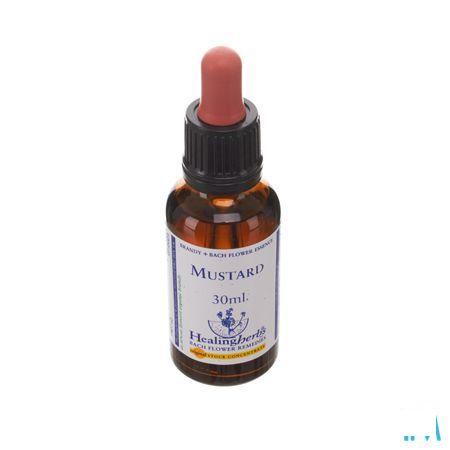 Healing Herbs Mustard 30 ml