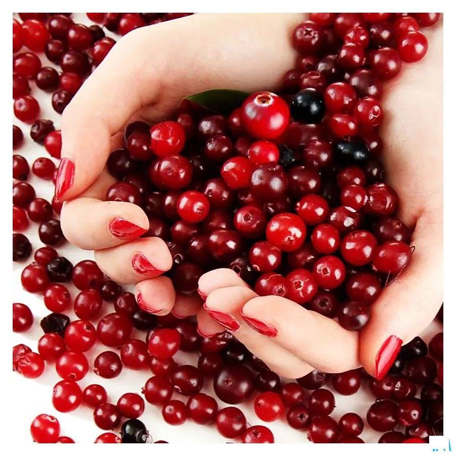 Lucovitaal Cranberry X-tra Forte Capsule 60