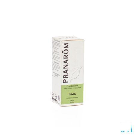 Liveche Huile Essentielle 5 ml  -  Pranarom