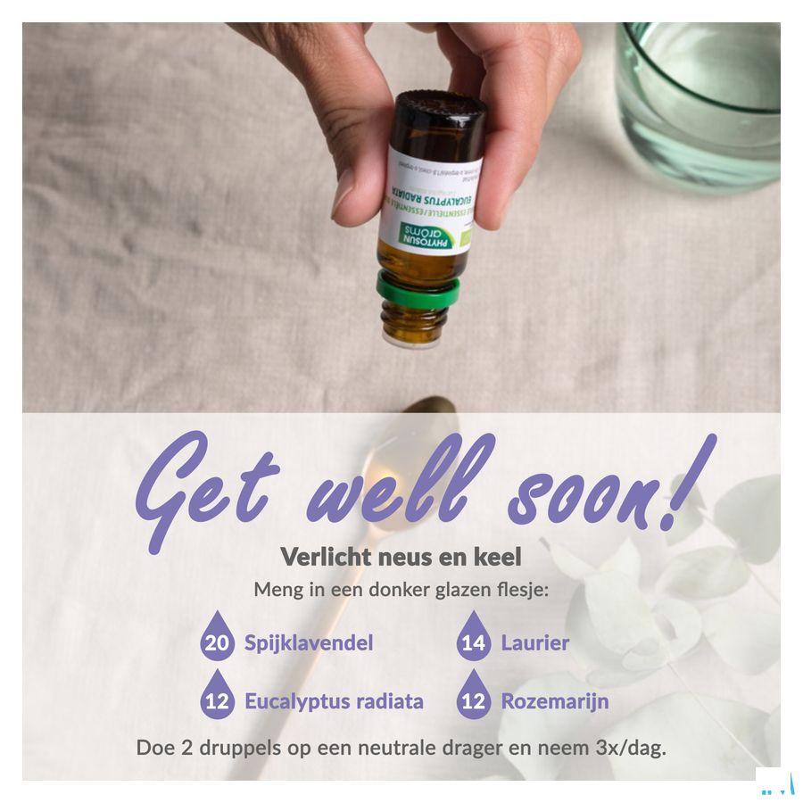 Phytosun Spijklavendel Fr-bio-01 Be2 5 ml