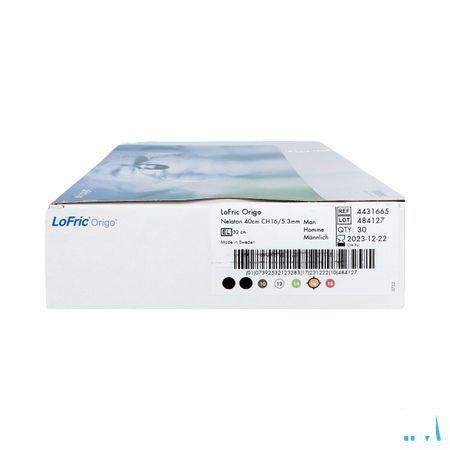 Lofric Origo Nelaton Pobe + Sol Saline CH16 40cm 30