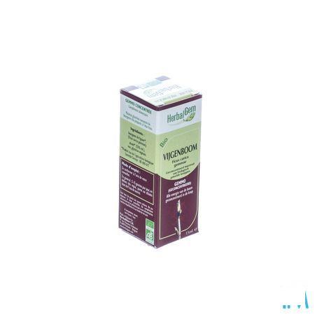 Herbalgem Vijgenboom Maceraat 15 ml  -  Herbalgem
