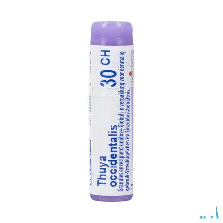 Thuya Occidentalis 30CH Gl  -  Boiron