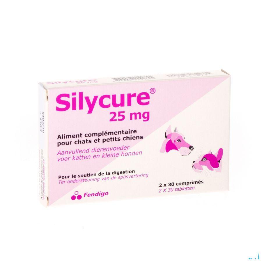 Silycure Comprimes 2x30x25 mg Blister  -  Fendigo