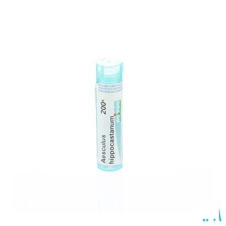 Aesculus Hippocastanum 200K Gr 4g  -  Boiron