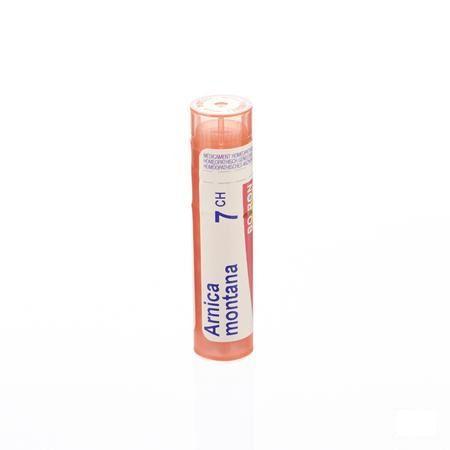 Arnica Montana 7CH Gr 4g  -  Boiron