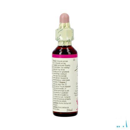 Bach Flower Remedie 22 Oak 20 ml