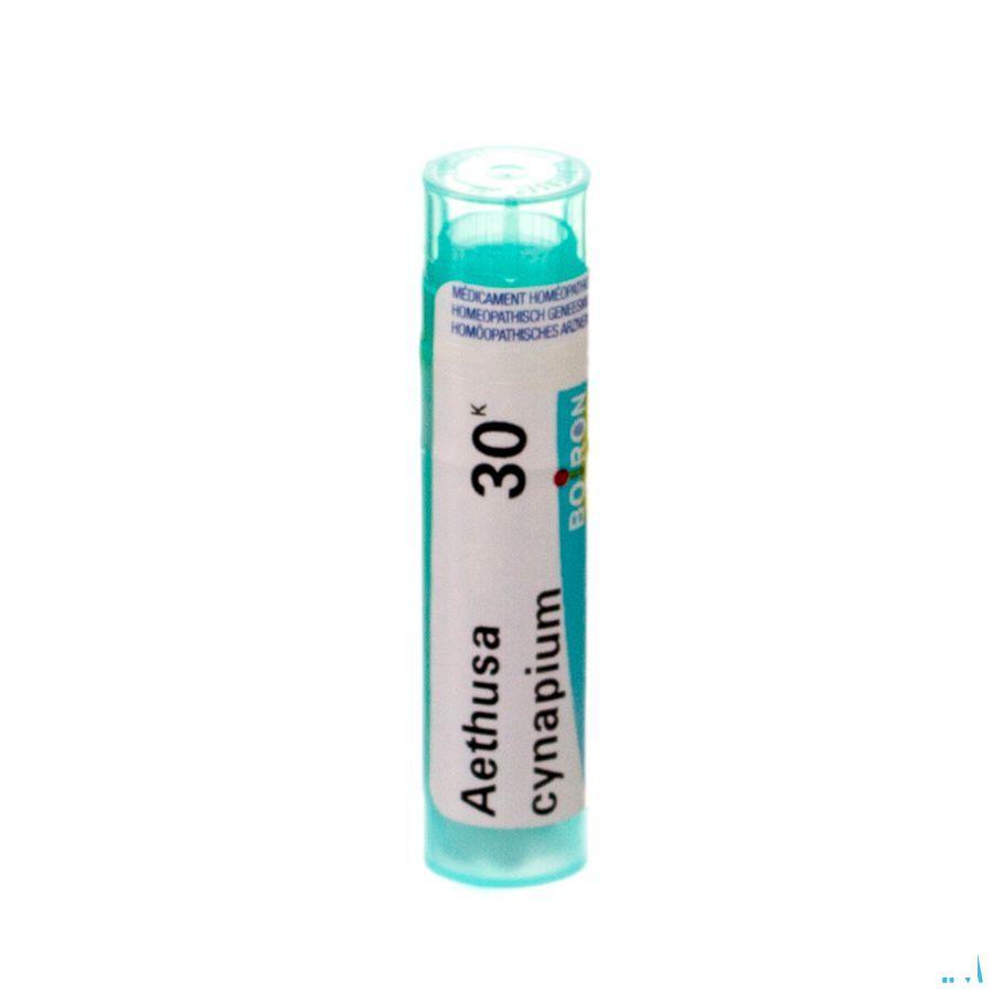 Aethusa Cynapium 30K Gr 4g  -  Boiron